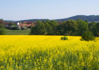 Kloster Strahlfeld